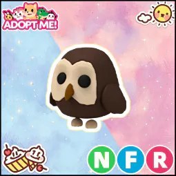 NFR Owl