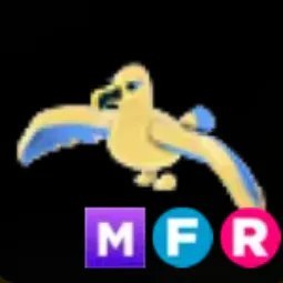 Golden Albatross MFR