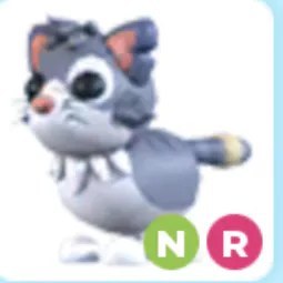 NR Alley Cat Adm