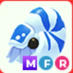 MFR Nautilus