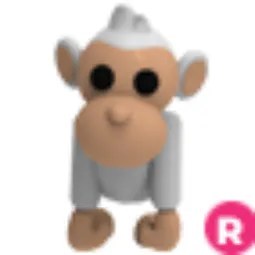 Albino Monkey R