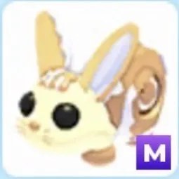 M Bunny Swirl Adm