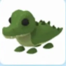 Crocodile Adm