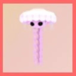 Jellyfish