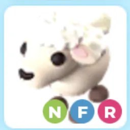 NFR Lamb Adm
