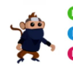 NFR Ninja Monkey