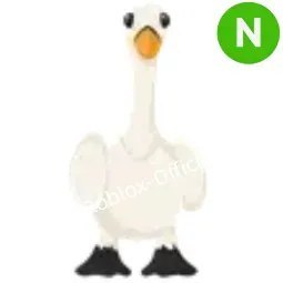 Swan N