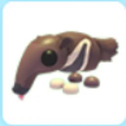 Giant Anteater