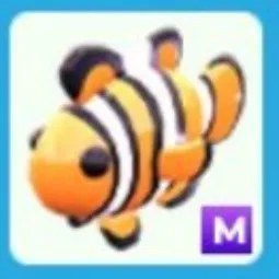 Clownfish Mega Neon