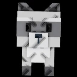 2x Raccoon