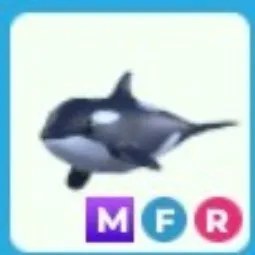 Orca MFR