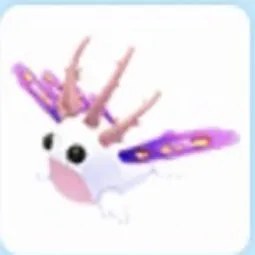 Sea Slug
