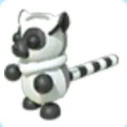 Ring tailed Lemur Adm