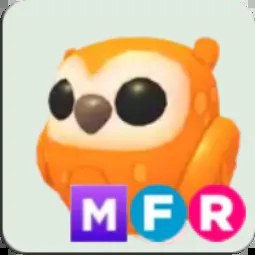 Clementine Owl MFR