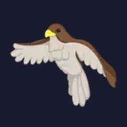 NFR Hawk