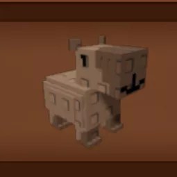 6x Capybara