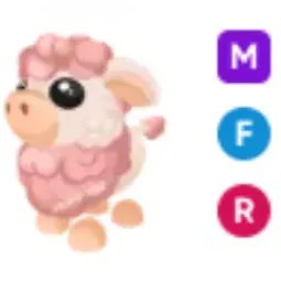 MFR Angus Cow