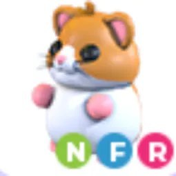 NFR Hamster
