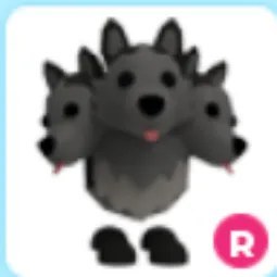 R Cerberus