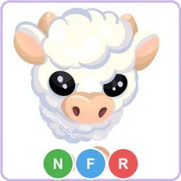 NFR Angus Calf