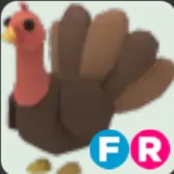 Turkey FR