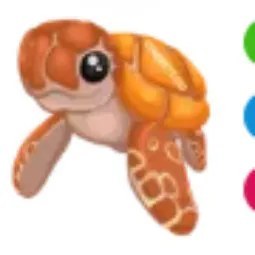 Sea Turtle NFR
