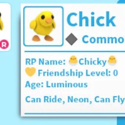 Chick NFR