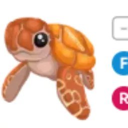 Sea Turtle FR