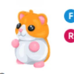 Hamster FR