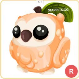 R Peach Owl