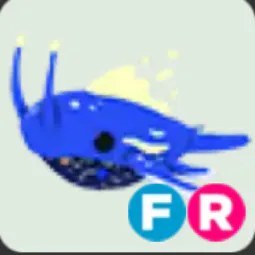 Space Whale FR
