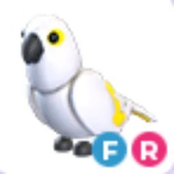 White Amazon FR