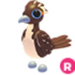 Roadrunner R