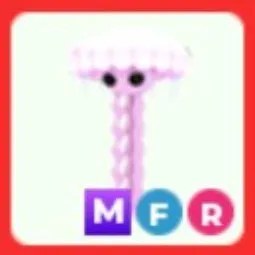 MFR Jellyfish