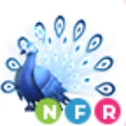 NFR Moonbeam Peacock