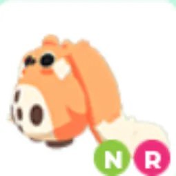 Cabbit NR
