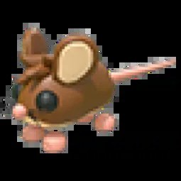 N Field Mouse