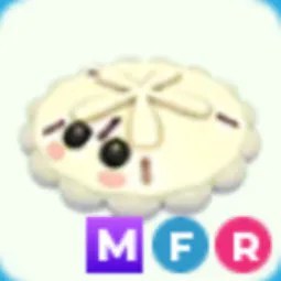 MFR White Sand Dollar