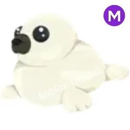 Harp Seal M