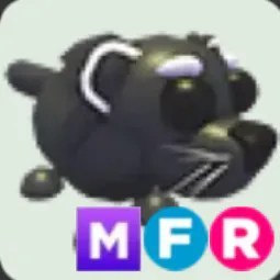 Binturong MFR