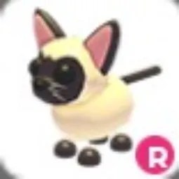 Siamese Cat R