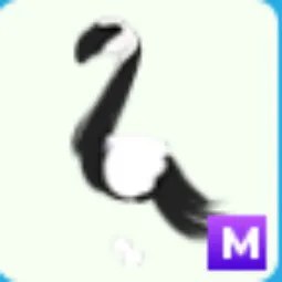 M Slimingo