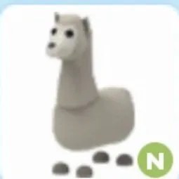 N Llama Adm