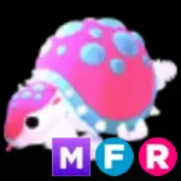 Glyptodon MFR