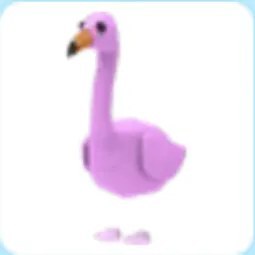 Flamingo Adm