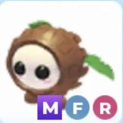 MFR Coconut Friend Adm
