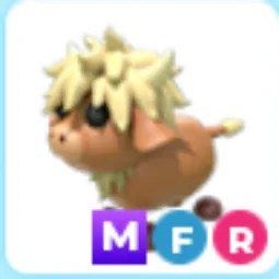 MFR Highland Cow