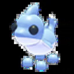 R Shark Puppy