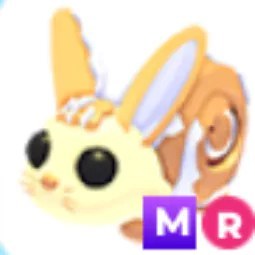 MR Bunny Swirl