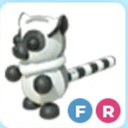 FR Ring tailed Lemur Adm